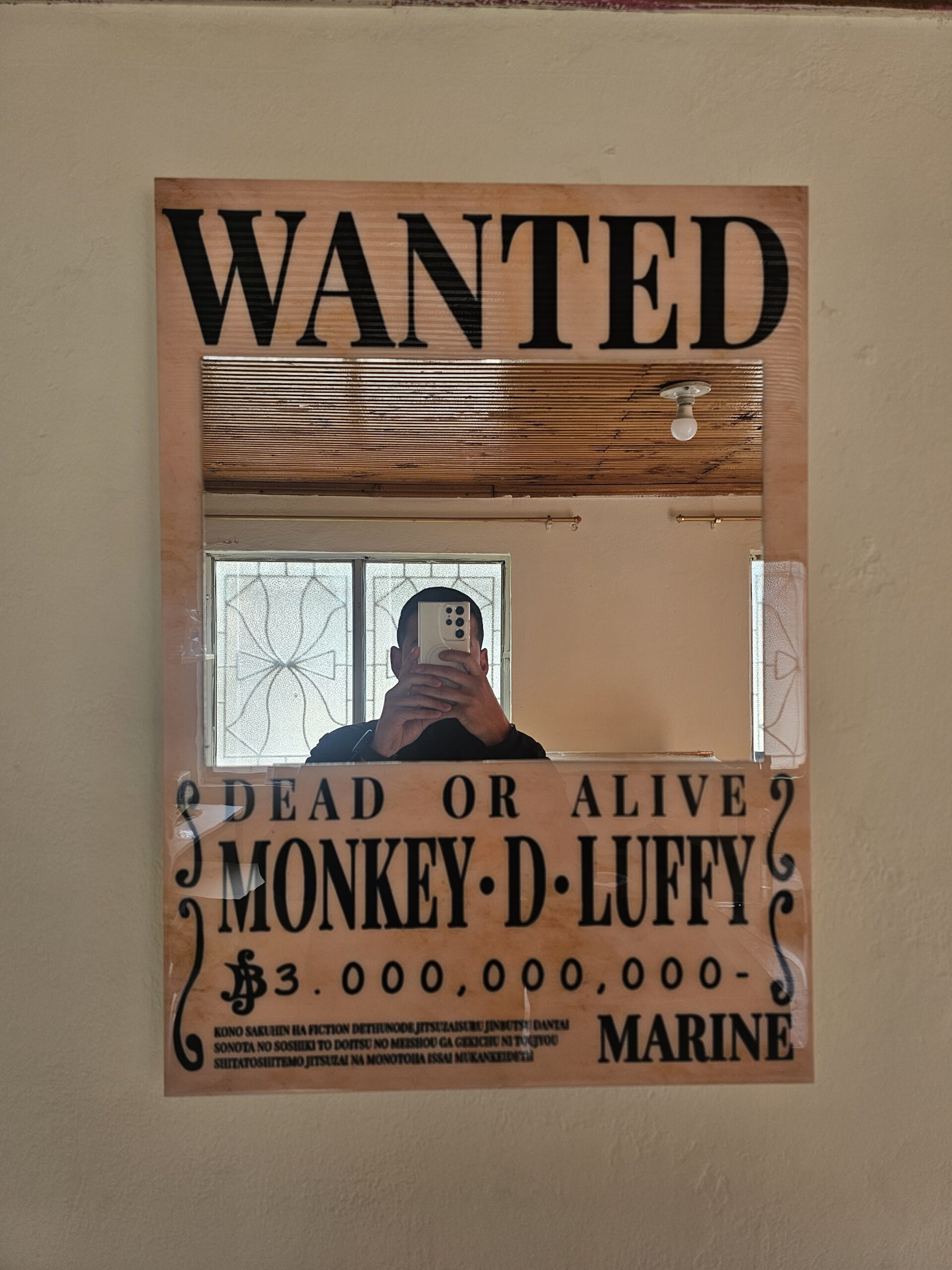 Wanted Luffy con espejo - Image 5