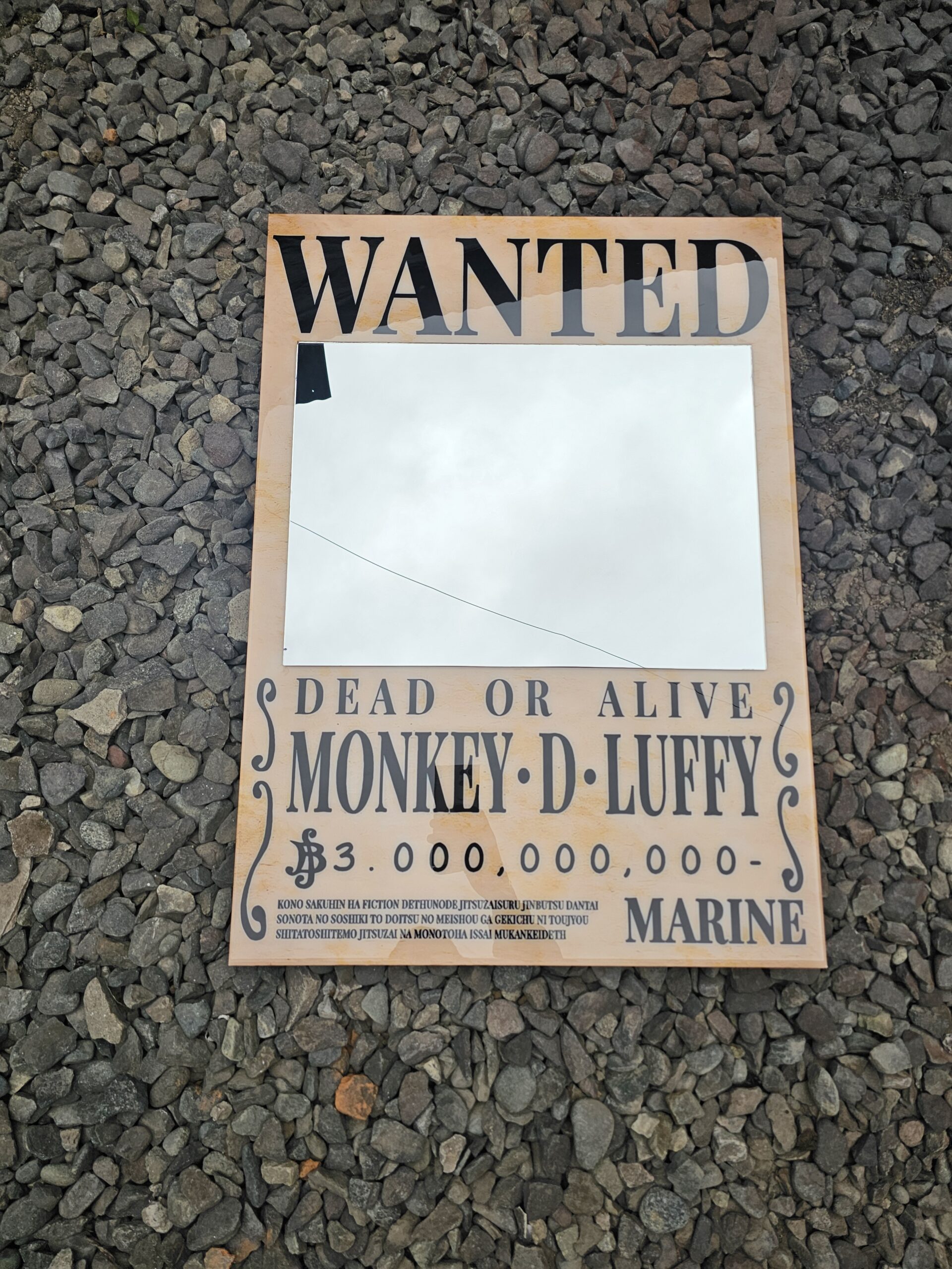 Wanted Luffy con espejo