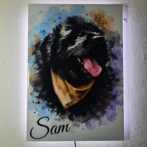 Mascota